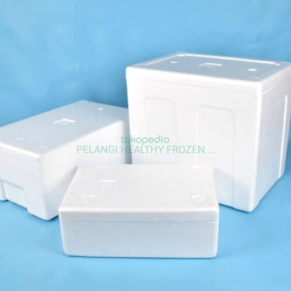 Box Styrofoam plus Ice Gel